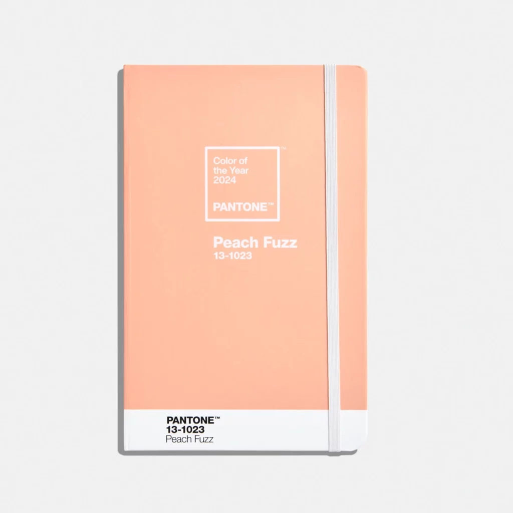 Pantone de l'année 2024 - Pantone 13-1023 Peach Fuzz