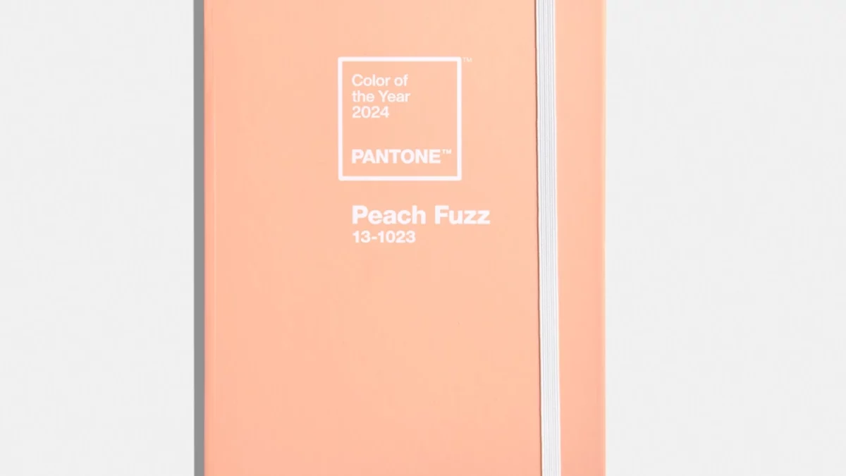 Pantone de l'année 2024 - Pantone 13-1023 Peach Fuzz