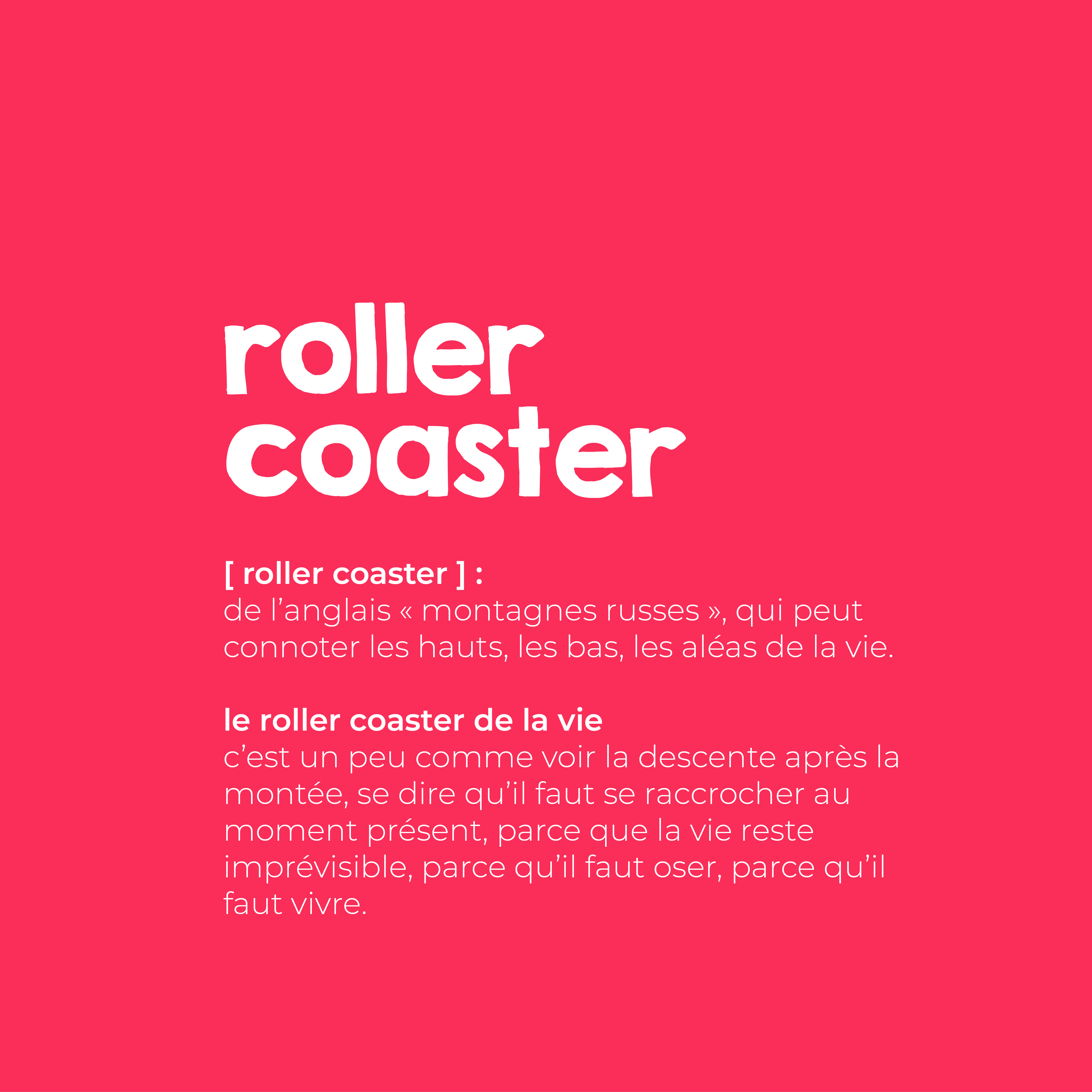 Branding Rollercoaster Audemus Studio